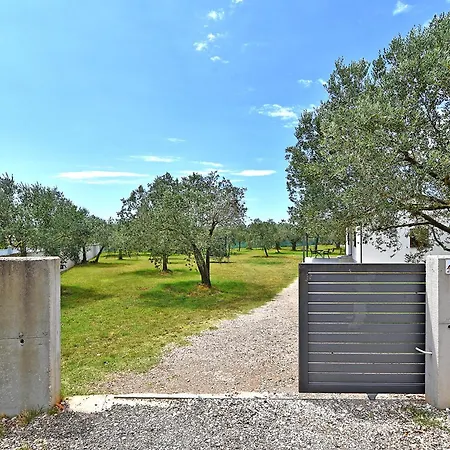 House Igor 2401